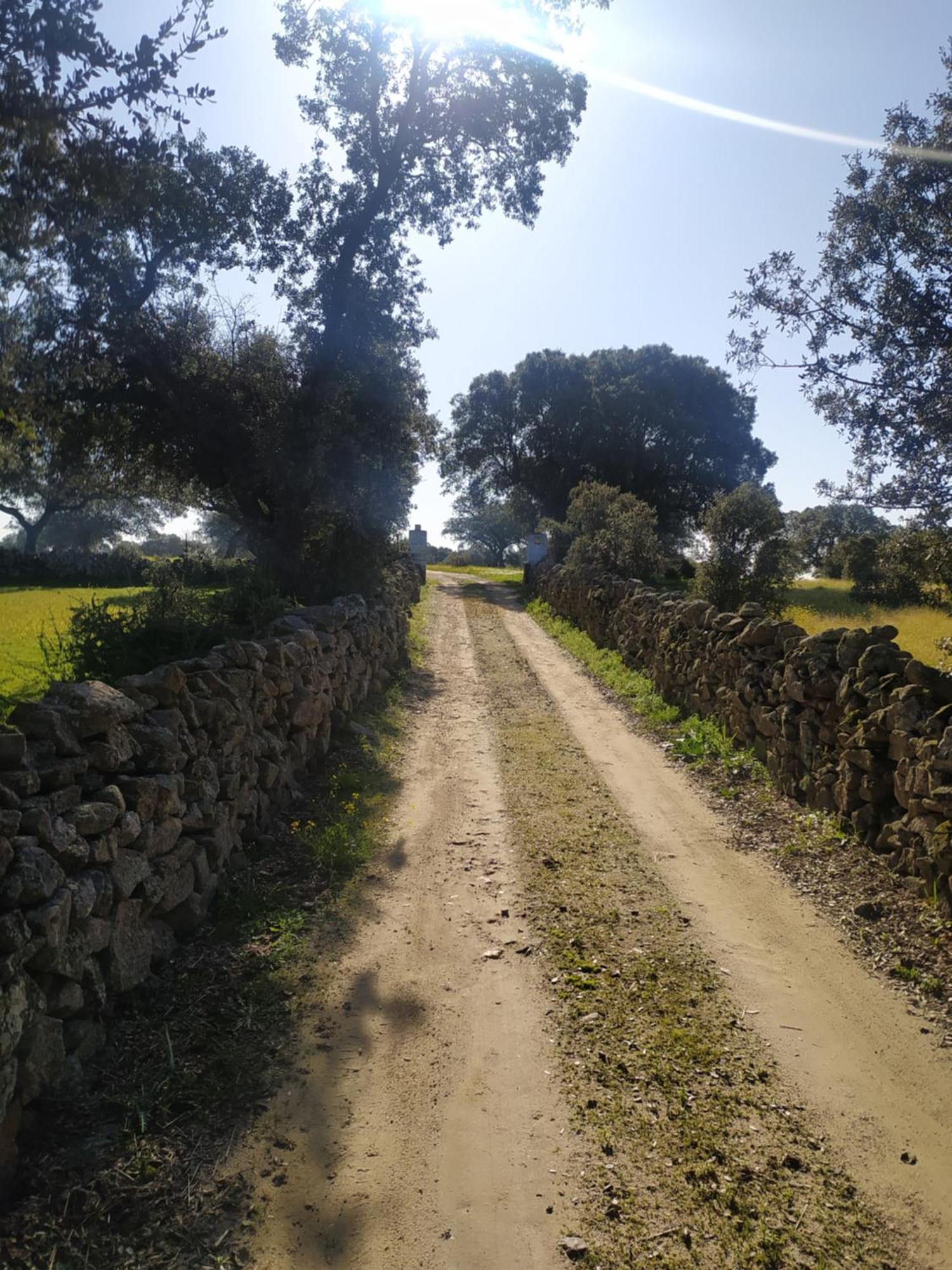 Finca Las Gamitas Almoharin エクステリア 写真