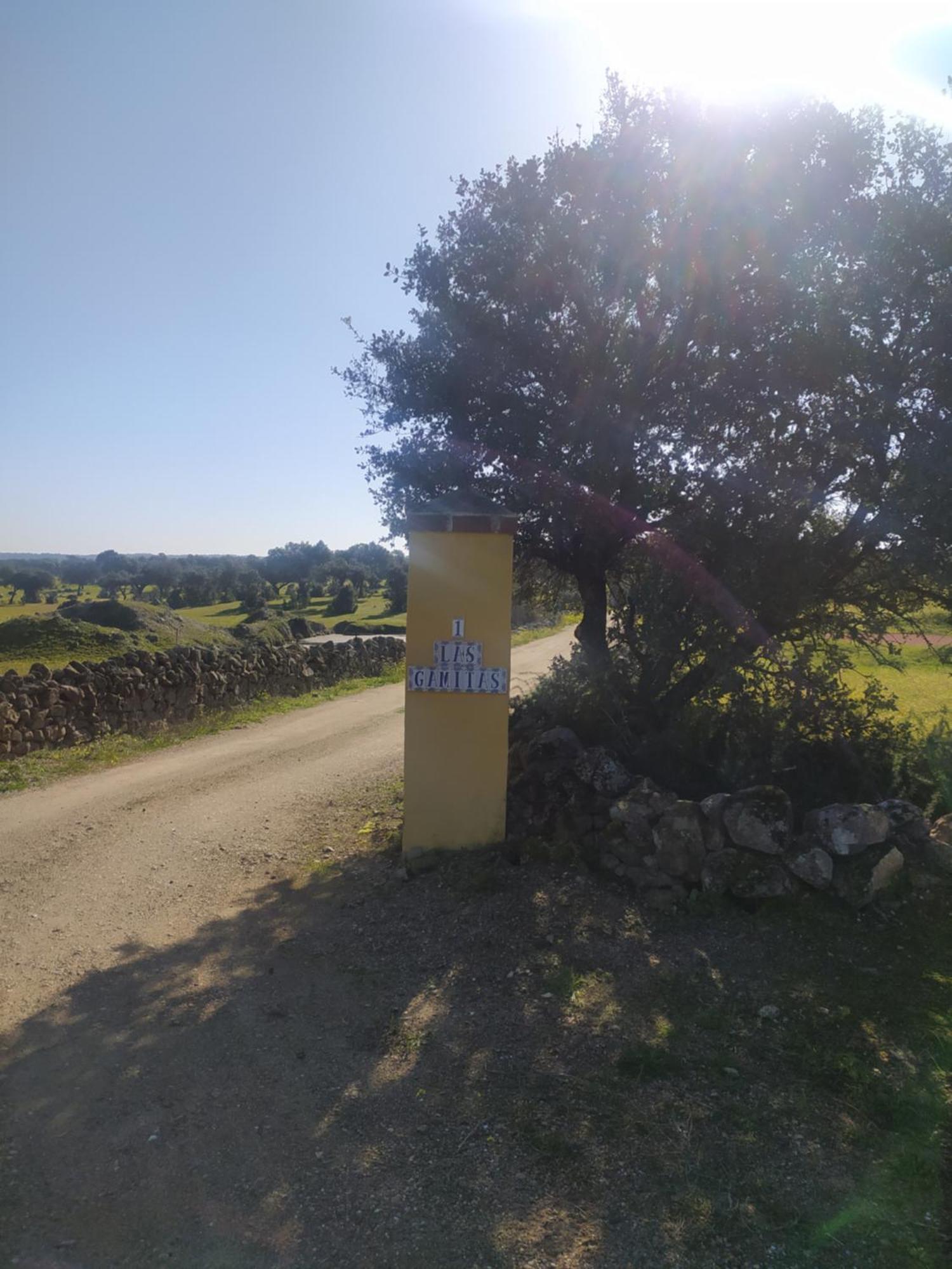 Finca Las Gamitas Almoharin エクステリア 写真